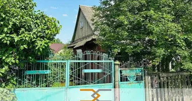 House in Sluck, Belarus
