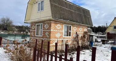 Maison dans Zodzinski siel ski Saviet, Biélorussie