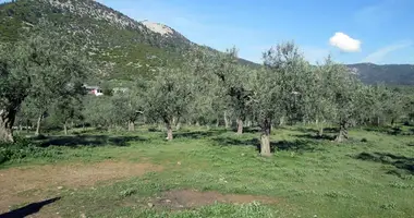 Участок земли в Скала Рахонио, Греция