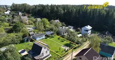 Haus in Lasanski selski Savet, Belarus