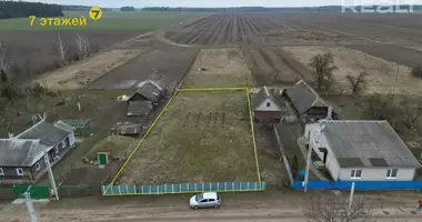 Plot of land in Visniaviecki sielski Saviet, Belarus