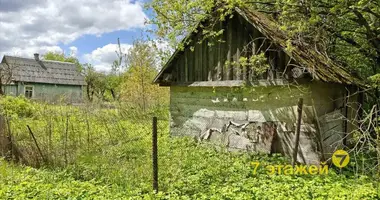Дом в Негорельский сельский Совет, Беларусь
