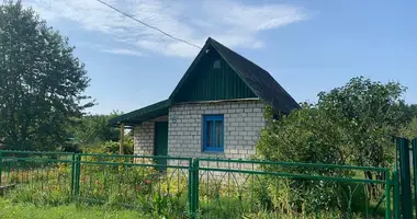 House in Dzitvianski sielski Saviet, Belarus