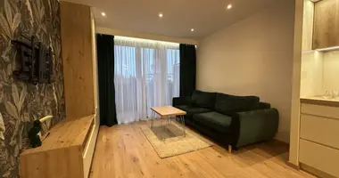 4 room apartment in Poznan, Poland