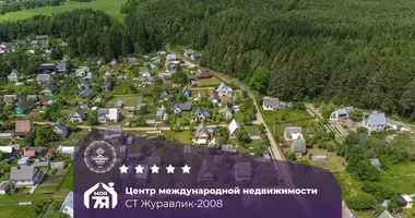 Дом в Городокский сельский Совет, Беларусь