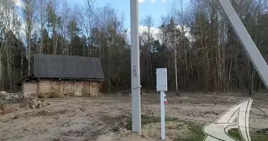 Grundstück in Recycki sielski Saviet, Weißrussland