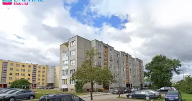 Apartamento 1 habitación en Radviliskis, Lituania