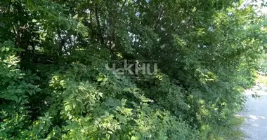 Terrain dans Sokolskoe, Russie