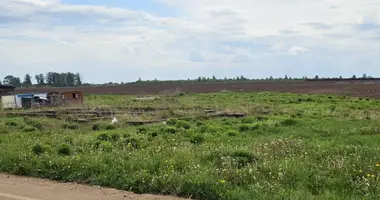 Działka w Sitniki, Białoruś