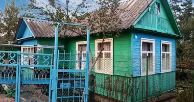 House in Babovicki sielski Saviet, Belarus