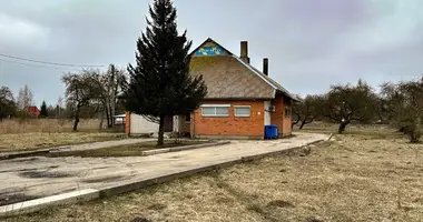 Commercial property 136 m² in Sarapiniskes, Lithuania