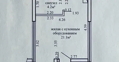 Wohnung 1 Zimmer in Minsk, Weißrussland