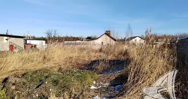 Grundstück in Muchaviecki sielski Saviet, Weißrussland