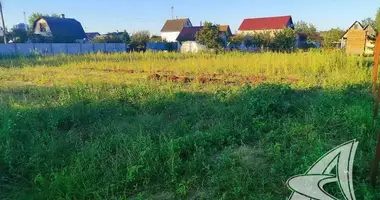 Plot of land in Brest, Belarus