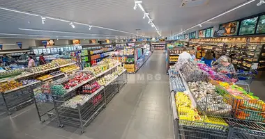 Nieruchomości komercyjne 500 m² w Tbilisi, Gruzja