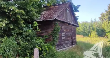 House in carnaucycki sielski Saviet, Belarus