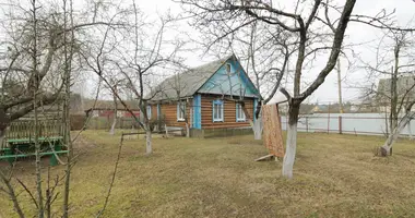 House in Barysaw, Belarus