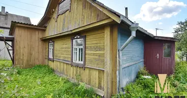 Haus in Jelnica, Weißrussland
