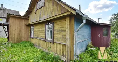 House in Jeĺnica, Belarus