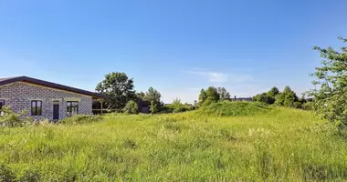 Участок земли в Velzys, Литва
