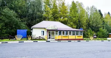 Restaurant 99 m² in Astrosycki sielski Saviet, Belarus