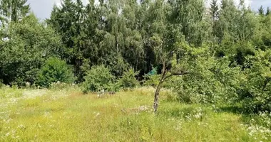 House in Dziamidavicki sielski Saviet, Belarus