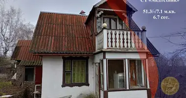 House in Krasnienski sielski Saviet, Belarus