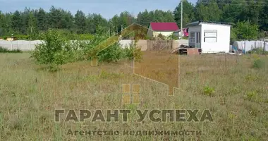 Дом в Великоритский сельский Совет, Беларусь