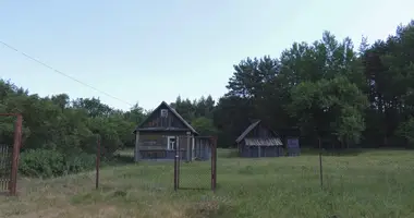 Дом в Нарочанский сельский Совет, Беларусь