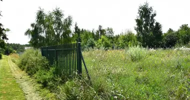 Plot of land in Koscianki, Poland