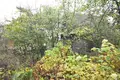 House 177 m² Astrosycki selski Savet, Belarus