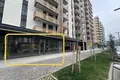 Commercial property 200 m² in Tbilisi, Georgia