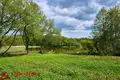 Działki  Ozyaritska Slabadski rural council, Białoruś