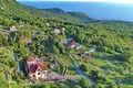 Commercial property 1 372 m² in Montenegro, Montenegro