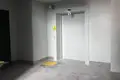 Mieszkanie 1 pokój 39 m² Smolewicze, Białoruś