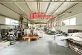 Fabrication 1 351 m² à Kapciouski sielski Saviet, Bélarus