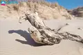 Atterrir  Palanga, Lituanie