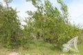 Земельные участки  Знаменский сельский Совет, Беларусь