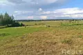 Land  Zasullie, Belarus