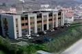 1 bedroom apartment 47 m² Radanovici, Montenegro