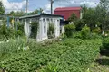 Дом 70 м² Дальнеконстантиновский муниципальный округ, Россия