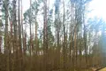 Atterrir  Jurmala, Lettonie