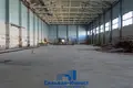 Manufacture 6 500 m² in Maladzyechna, Belarus