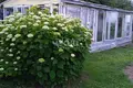 Haus 35 m² Prosek, Russland