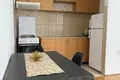 Studio apartment 28 m² Montenegro, Montenegro