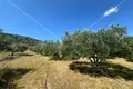 Land 45 000 m² Grad Benkovac, Croatia