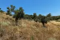 Land 6 662 m² Nikiti, Greece
