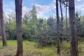 Grundstück 18 973 m² Przylek, Polen