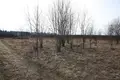 Grundstück  Bolsevrudskoe selskoe poselenie, Russland