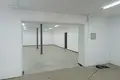 Lager 8 zimmer 232 m² in Pleschtschanizy, Belarus